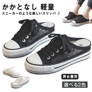 [t@[ LpX y ʋC t  H 6cmgAbv   T{T_ ʋC y j[J[ Ōt ƌC