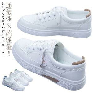 C\[ JWA r ₷ b ₷ O  L fB[X  Xj[J[ ɂ