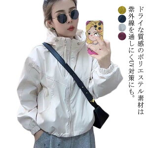  {[h u] AE^[ t[ht EChu[J[ h O΍ y AEghA