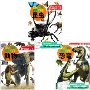 ʂ肦 3_Zbg wׂʂ肦 }MOVE    ʂ肦 