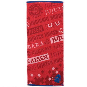 tFCX^I ^I p BKN̕ B KN  `[t ACR 34× 80cm  pCWJ[h AbvP hJ R hL H