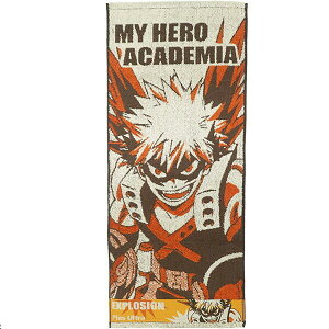 tFCX^I ^I l̃q[[AJf~A   RX`[ j qAJ q[[  34× 80cm tFCX  pCWK[h q{[_[ R hL H