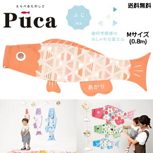 i ̂ڂ ̂ڂ ׂ y Puca v[J ӂ FUJI sN F M TCY 0.8m 80cm   [߂̐ߋ   ܌ ߋ j w  