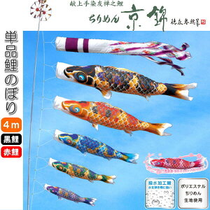 îڂ FTV ߂񋞋 ̂ڂ Pi 4m  