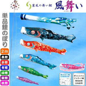 îڂ O̕  Pi ̂ڂ 2m      sN