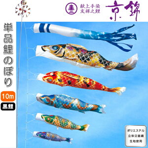 îڂ FTV  Pi ̂ڂ 10m 