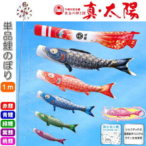 îڂ ̋P ^Ez Pi ̂ڂ 1m     sN