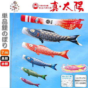 îڂ ̋P ^Ez Pi ̂ڂ 7m  