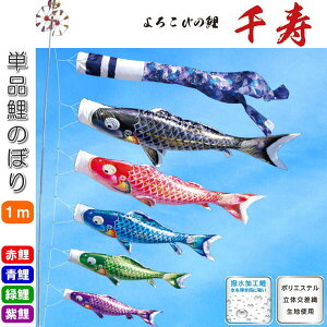 îڂ 낱т̌  Pi ̂ڂ 1m    