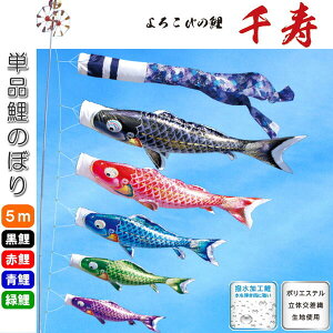 îڂ 낱т̌  Pi ̂ڂ 5m    