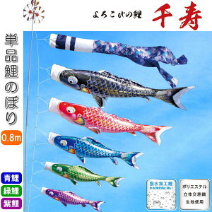 îڂ 낱т̌  Pi ̂ڂ 0.8m   