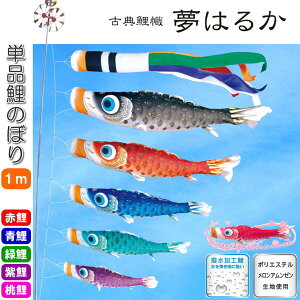 îڂ ÓT ͂邩 Pi ̂ڂ 1m     sN