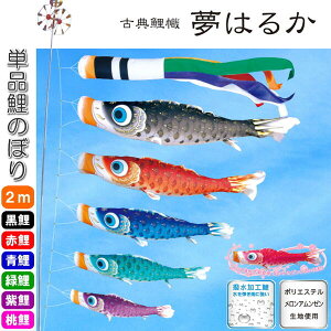 îڂ ÓT ͂邩 Pi ̂ڂ 2m      sN