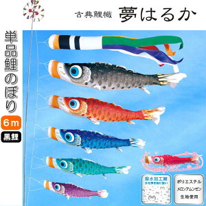 îڂ ÓT ͂邩 Pi ̂ڂ 6m 