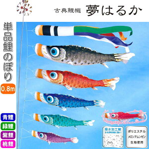 îڂ ÓT ͂邩 Pi ̂ڂ 0.8m    sN