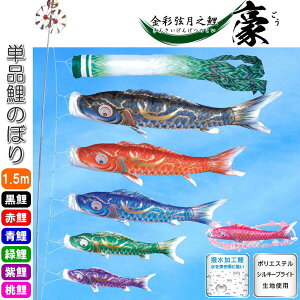 îڂ ʌV  Pi ̂ڂ 1.5m      sN