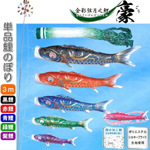 îڂ ʌV  Pi ̂ڂ 3m     