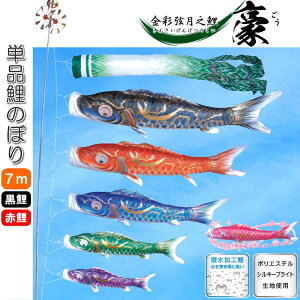 îڂ ʌV  Pi ̂ڂ 7m  