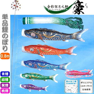 îڂ ʌV  Pi ̂ڂ 0.8m    sN