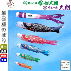 îڂ ̍ Y  Pi ̂ڂ 5m   