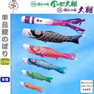 îڂ ̍ Y  Pi ̂ڂ 0.8m 