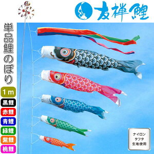 îڂ FT Pi ̂ڂ 1m      sN