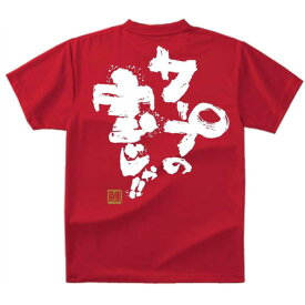 カープTシャツ　 炎の筆文字シリーズ 　カープの宝じゃ★送料無料★ Tシャツ　 西川龍馬外野手 背番号5 Carp 広島東洋カープ Tシャツ グッズ 応援 レディース メンズ　男女兼用 広島