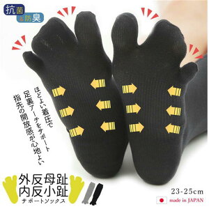 ݁@OET|[g\bNXi3{wj\bNX@ubN@@w\bNX@sT|[g@{@ChCWp