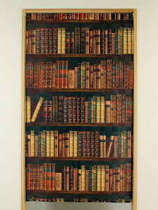 ^yXg[̂ MULTI TAPESTRY  BOOK SHELF  J[e Ԏd؂ 85×150cm { K rO  o} Lb` 䏊 _CjO