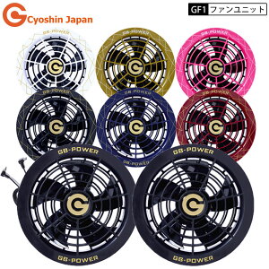 y2025N ŐV fzMWp GF1 t@ jbg Zbg E2 ƕ V t@ @ p t@tEFAp Cyoshin Japan