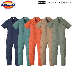 fBbL[Y Dickies D-749 Xgb` CVC  ciM Ȃ  ƒ cC D749 749