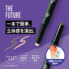 【公式】THE FUTURE ザフューチャー シェーディングスティック シェーディング ハイライト メンズメイク メンズコスメ 小顔効果 ナチュラル仕上げ 2WAY仕様 マットな質感