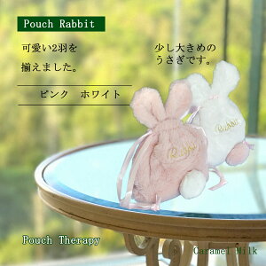 CARAMEL MILK σobO RX|[` σ|[`  ӂ |[` В ϕi s  ̂  В obO ΂ bag ETM ϑ RXBOX [obO v[