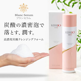 クレンジング 洗顔　炭酸 泡 毛穴 W洗顔不要 メイク落とし 保湿 炭酸クレンジングフォーム【肌美女】