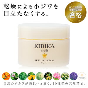 yő1200~OFFI܂ƂߔN[|pŁzێN[itFCXN[ eN[jZ~h  iCAVA~h GCWOPA bϕi XLPA   Sg  KIBI