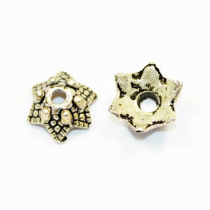 ^r[YLbv |CgX[X^[ F Vo[ s[^[ ^p[c