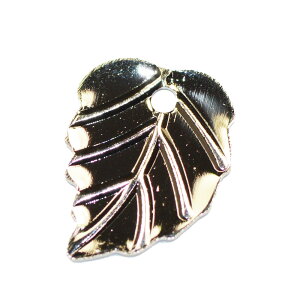 ^[t NOD4 F jbP 10×8mm 10