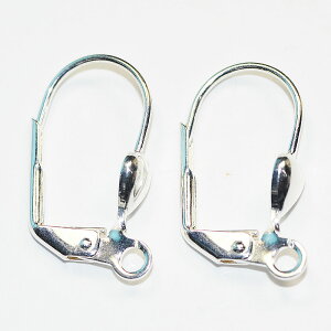 ANZT[p[c  AsAX [sANbv F Vo[J[