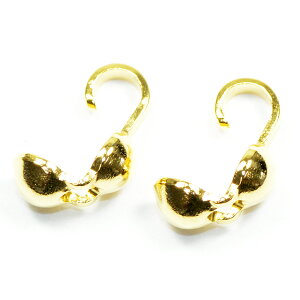 ANZT[p[c  {[`bv F S[hJ[ TCY  b