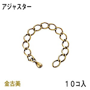 �A�N�Z�T���[�p�[�c ���� �A�W���X�^�[ �^�C�vD2 ���Ô� �A���e�B�[�N�S�[���h �����p10�{����T�[�r�X�p�b�N