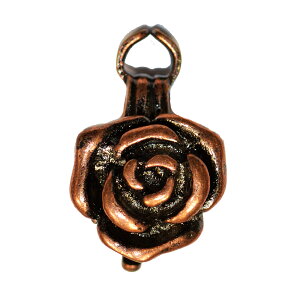 ANZT[p[c  ԃo`J KN̂AJ Ô uY