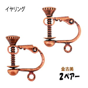 ANZT[p[c  CO Ô AeB[NuY 2yA[