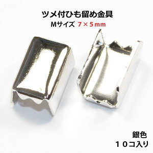 ANZT[p[c  ctЂ Sߋ MTCY FVo[J[ 10R NO3