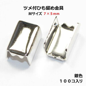 ANZT[p[c  ctЂ Sߋ MTCY FVo[J[ 100RT[rXpbN NO3