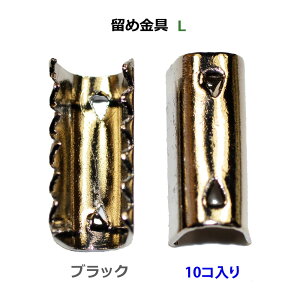 ANZT[p[c  Sߋ LTCY ߂̍F ubNjbP 10R NO2