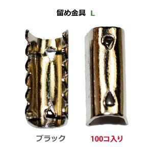 ANZT[p[c  Sߋ LTCY F ubNjbP 100R̃T[rXpbN NO2