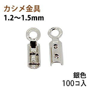 ANZT[p[c  JV R~ 1D2`1D5mm F jbPbL 100RT[rXpbN