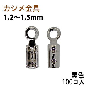 ANZT[p[c  JV R~ 1D2`1D5mm F ubNjbP 100RT[rXpbN