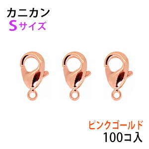 ANZT[p[c  JjJ sNS[h ^CvA1 STCY p100RT[rXpbN