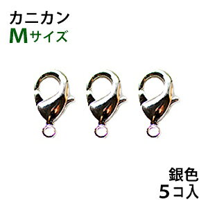 ANZT[p[c  JjJ F WEbL ^CvA1 MTCY 5RpbN